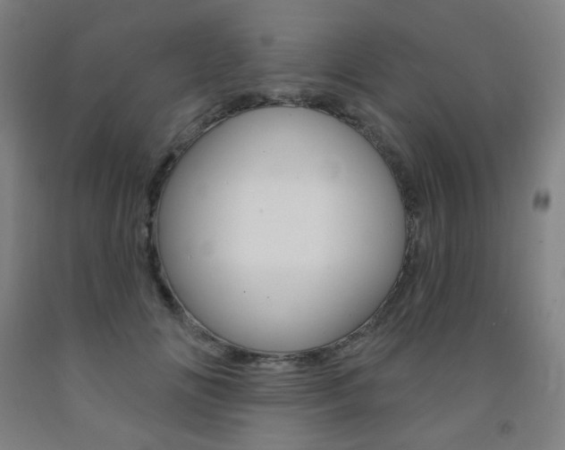 X0000093260702200709261618