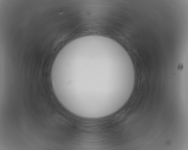 X0000093260705200709261618