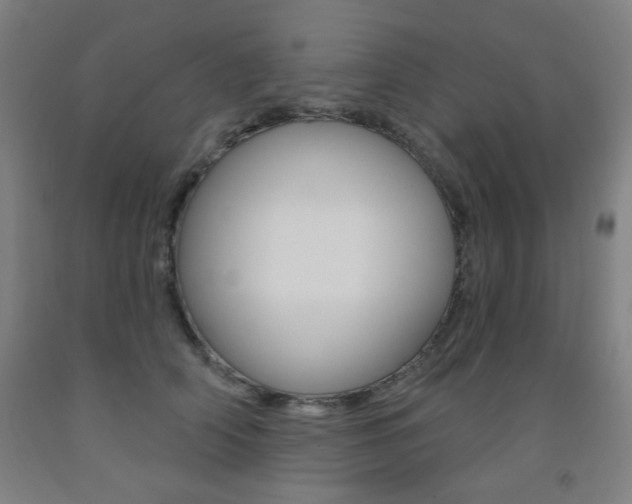 X0000093260706200709261618