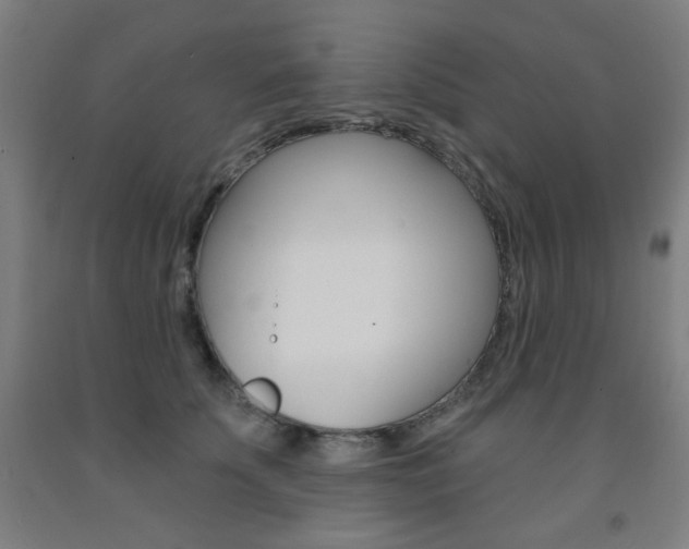 X0000093260707200709261618