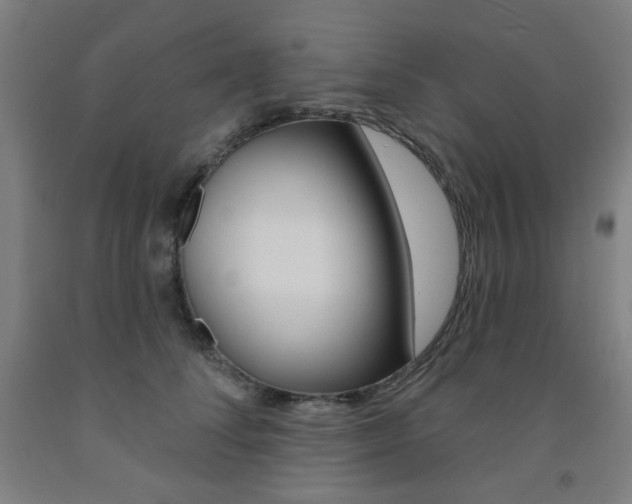 X0000093260708200709261618