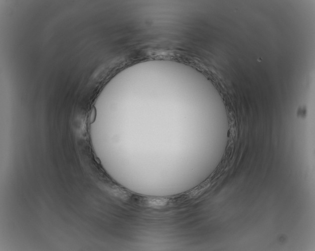 X0000093260709200709261618