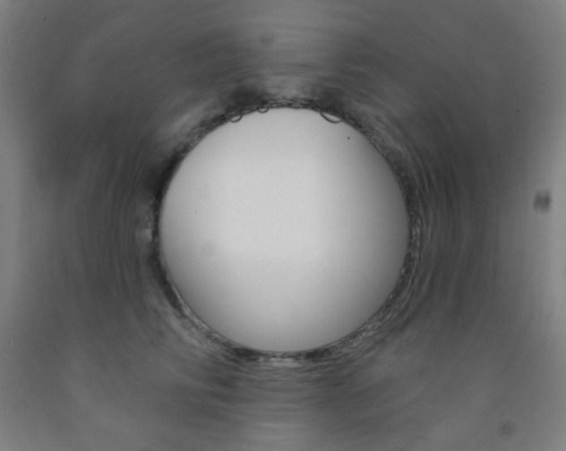 X0000093260710200709261618