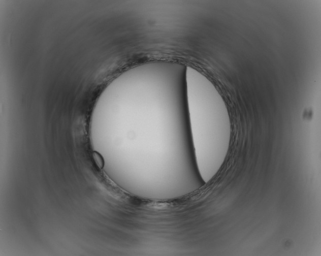 X0000093260711200709261618