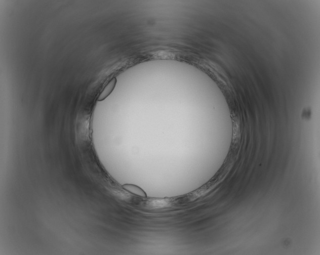 X0000093260717200709261618