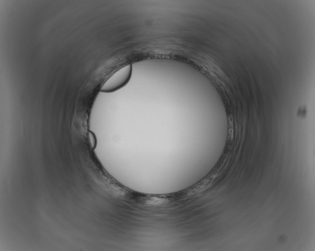 X0000093260718200709261618