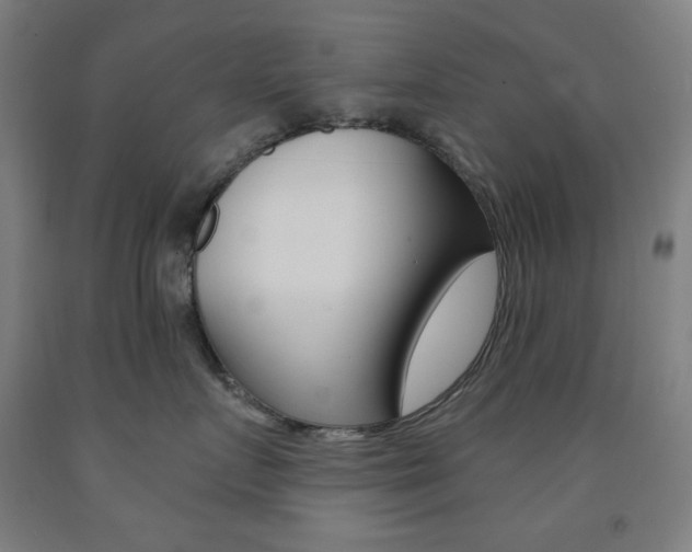 X0000093260719200709261618
