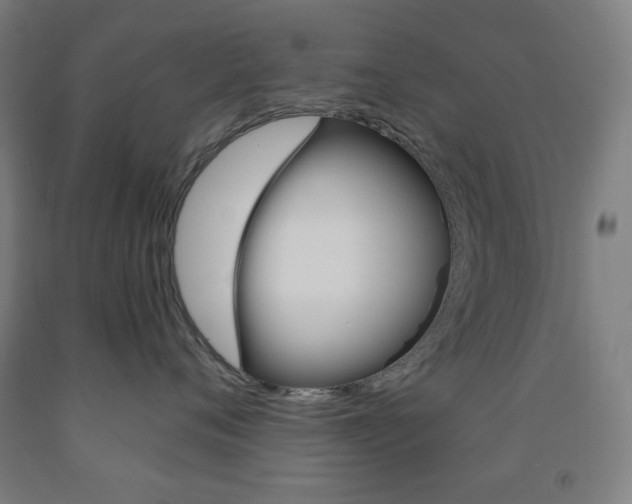 X0000093260720200709261618