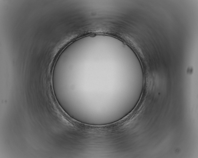 X0000093260721200709261617