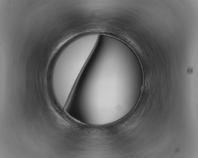 X0000093260722200709261617