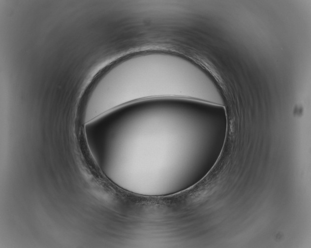 X0000093260724200709261617