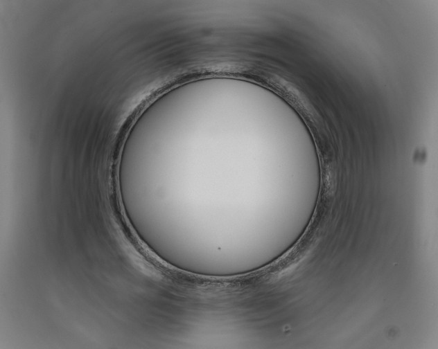 X0000093260725200709261617