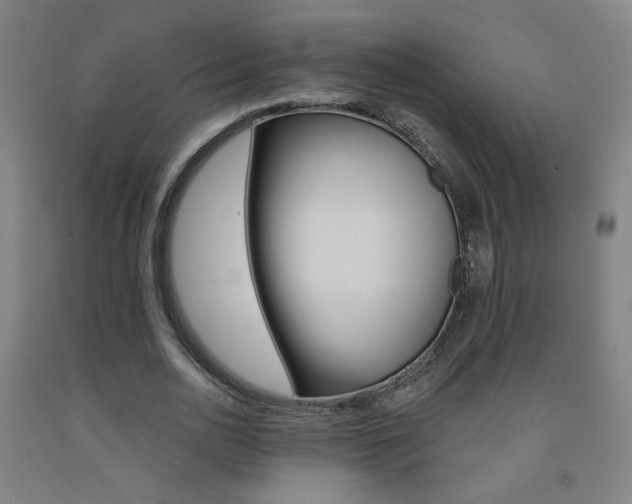 X0000093260726200709261617