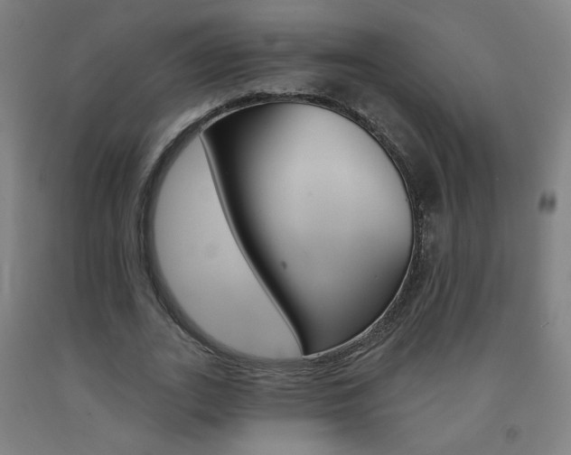X0000093260727200709261617