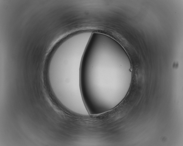 X0000093260728200709261617