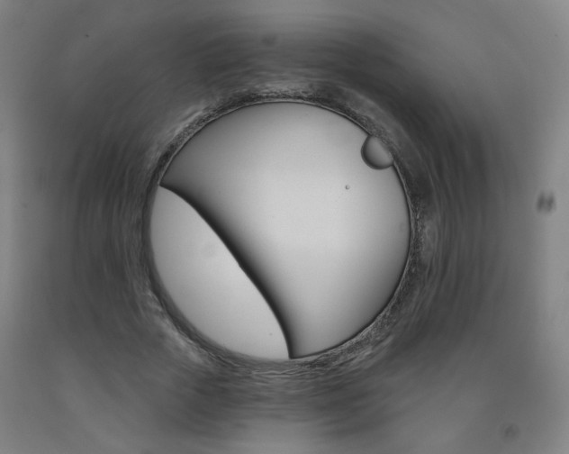 X0000093260729200709261617