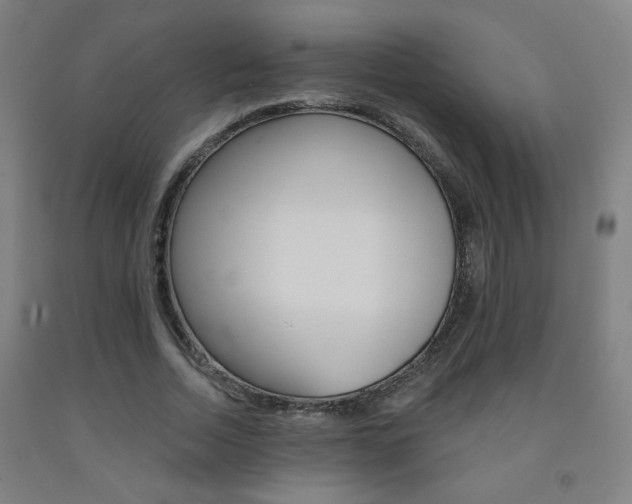 X0000093260730200709261617