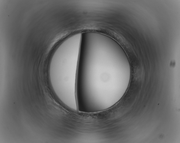 X0000093260731200709261617