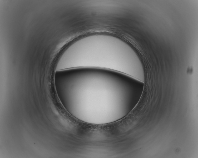 X0000093260732200709261617