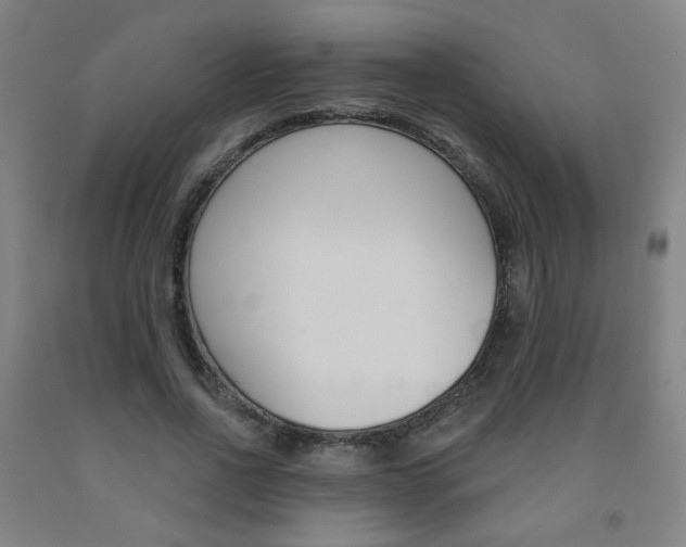 X0000093260734200709261617