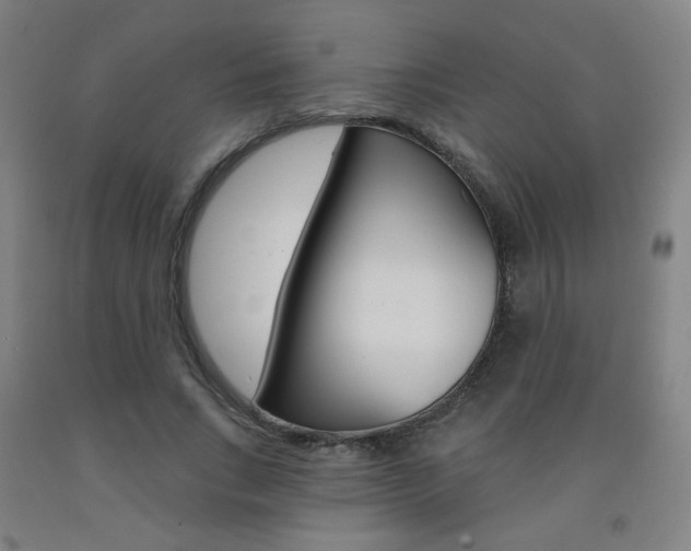 X0000093260735200709261617