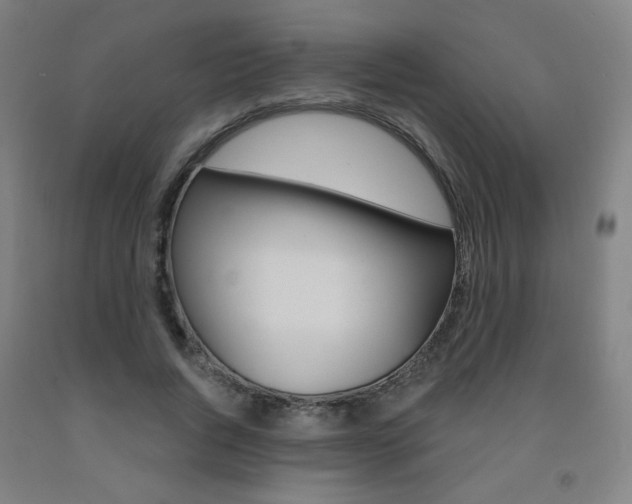 X0000093260736200709261617