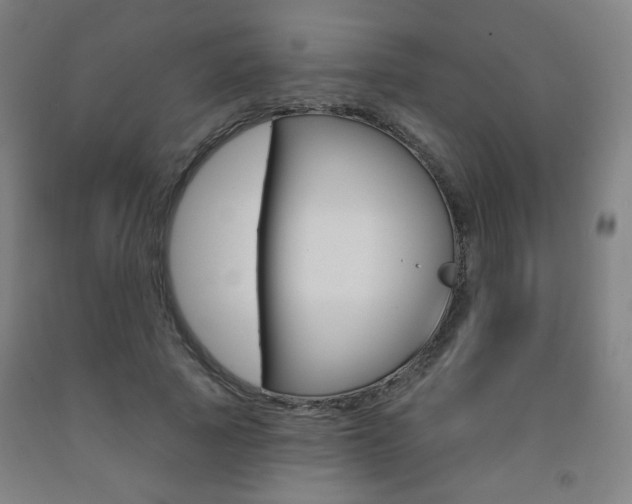 X0000093260737200709261617