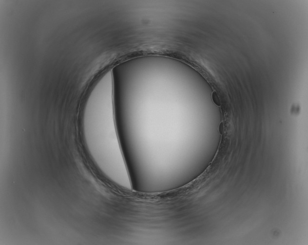 X0000093260738200709261617