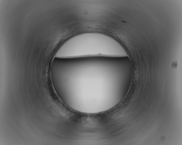 X0000093260739200709261617