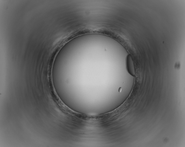 X0000093260740200709261617