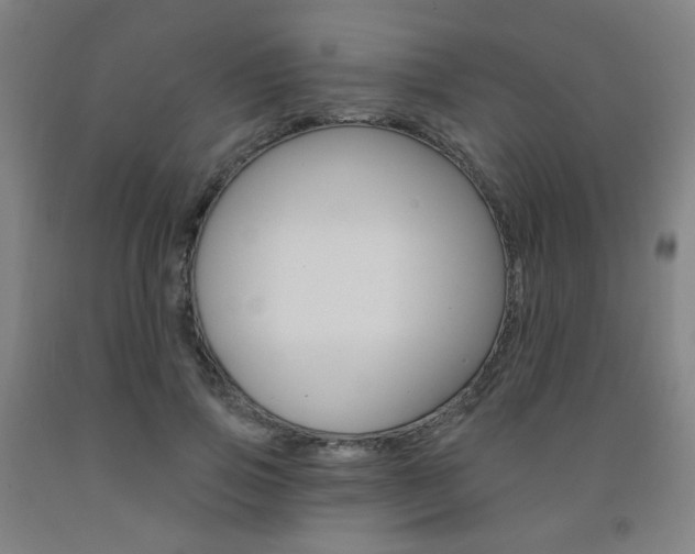 X0000093260741200709261617