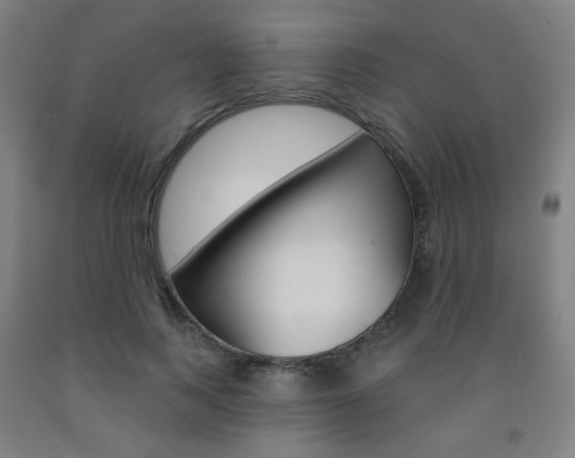 X0000093260743200709261618