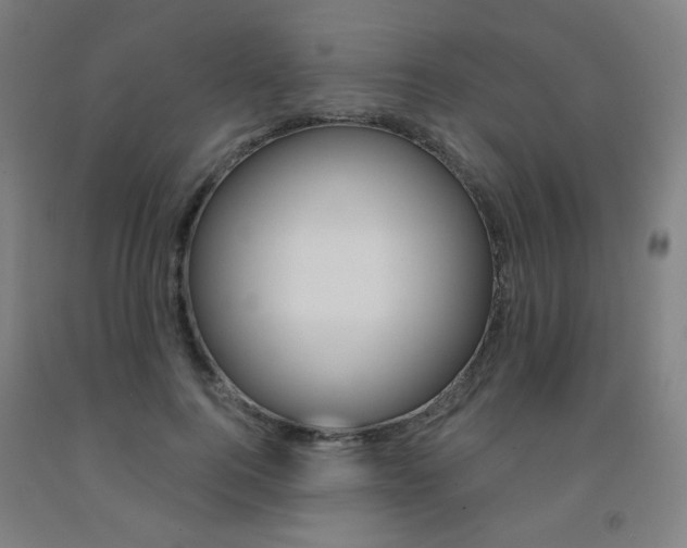 X0000093260744200709261618