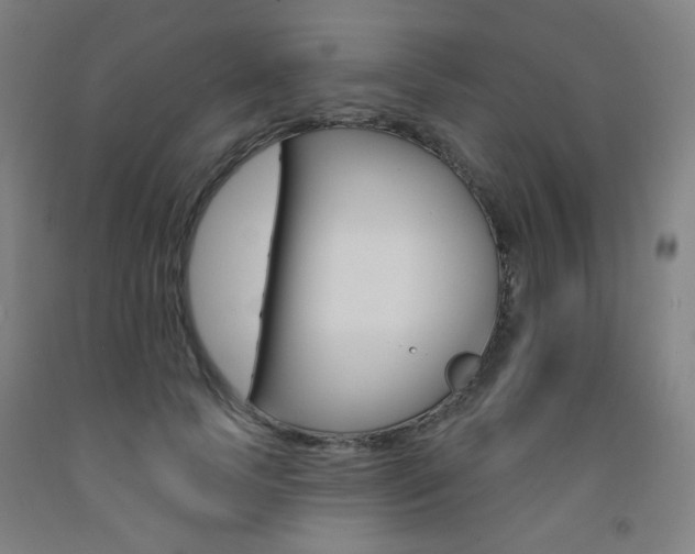 X0000093260745200709261618