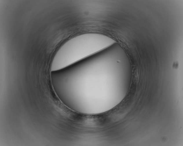 X0000093260746200709261618