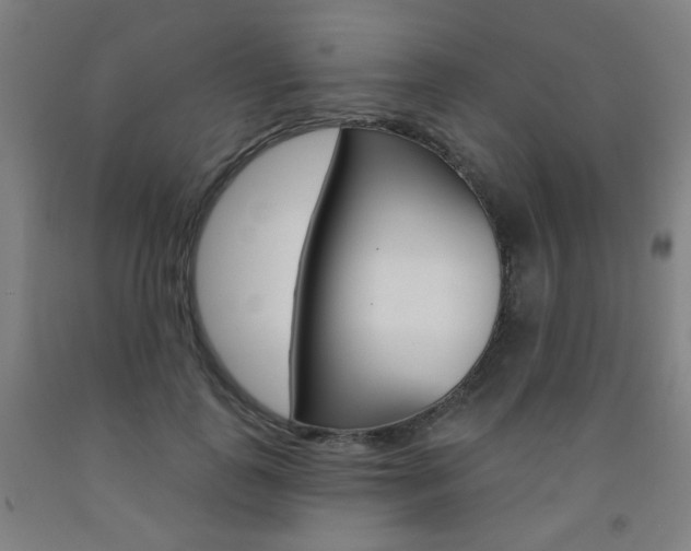 X0000093260747200709261618