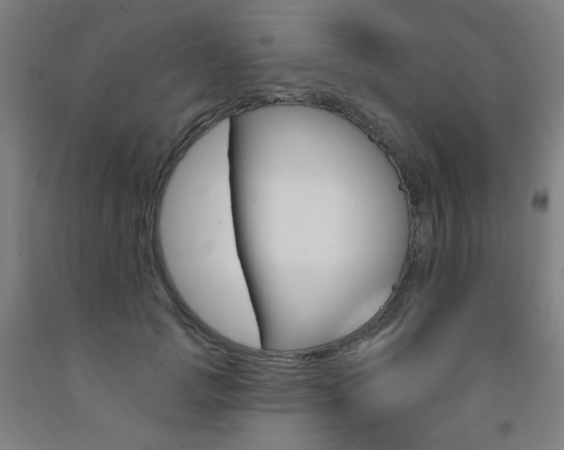 X0000093260749200709261618