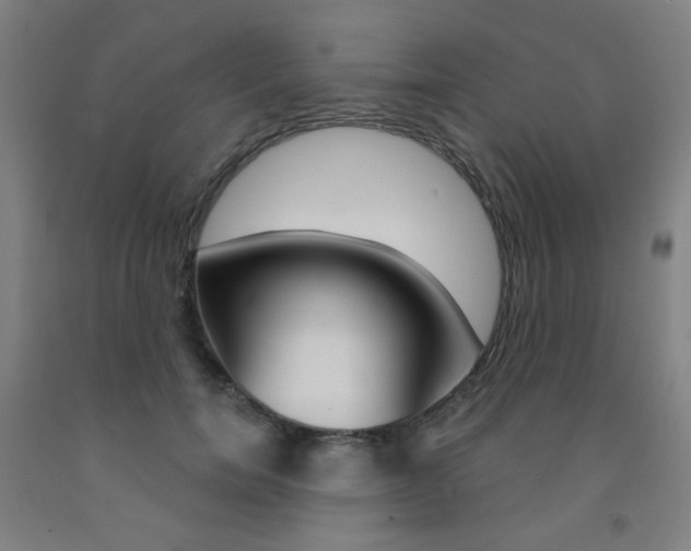 X0000093260750200709261618