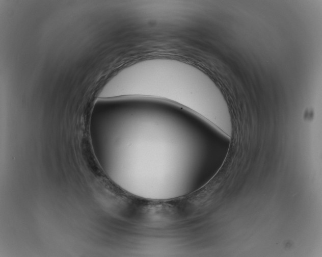 X0000093260752200709261618