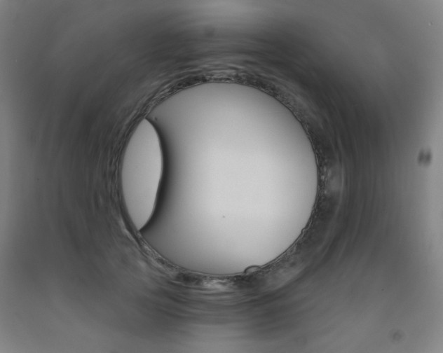 X0000093260753200709261618
