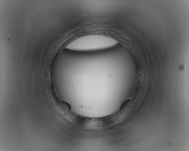 X0000093260754200709261618