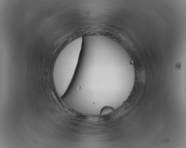 X0000093260757200709261618
