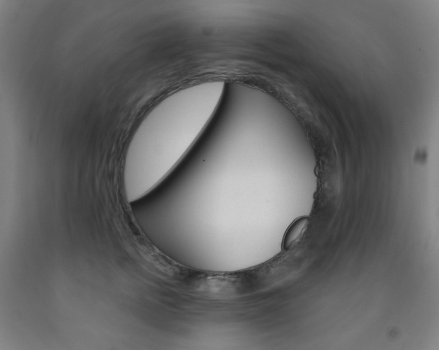 X0000093260758200709261618