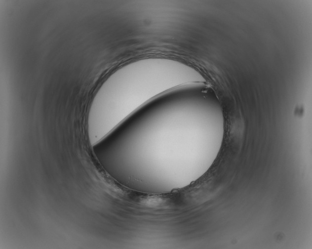 X0000093260759200709261618