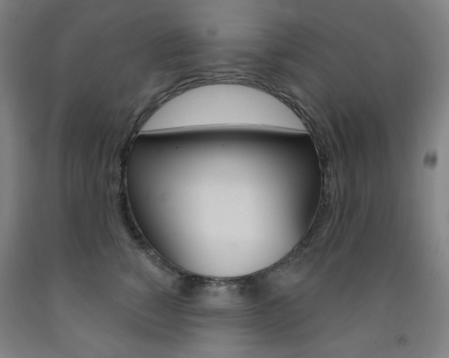 X0000093260760200709261618
