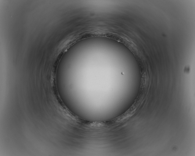 X0000093260762200709261618