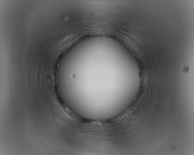 X0000093260764200709261618