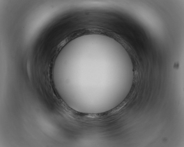 X0000093260765200709261618