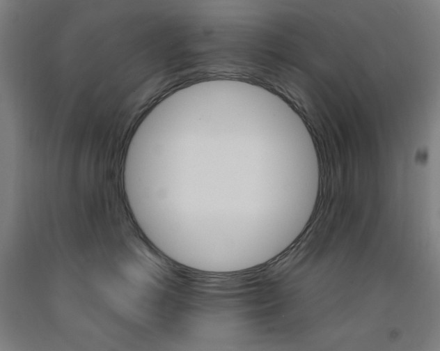 X0000093260766200709261618
