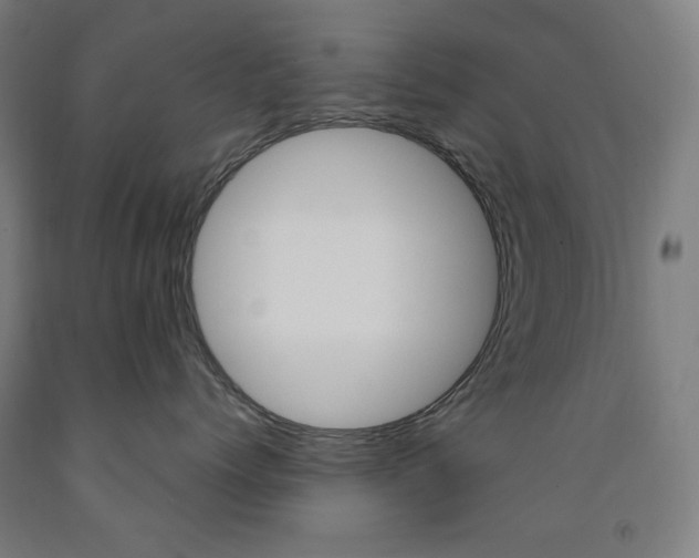X0000093260768200709261618